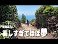 最新カメラOsmo Pocket4で移住先を撮影したら綺麗すぎた(和歌山県那智勝浦町・太地町)