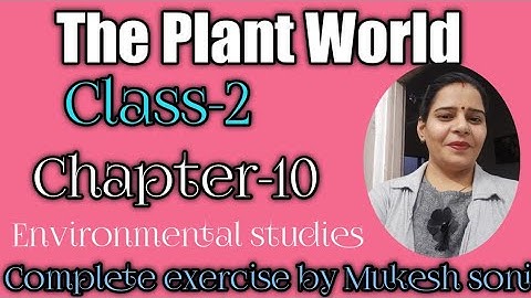 Class-2,lesson-10,The Plants World, Environmental study, Mittsure complete exercise by Mukesh soni
