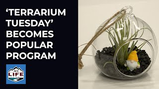 ‘Terrarium Tuesday’ becomes popular Wenatchee Public Library event