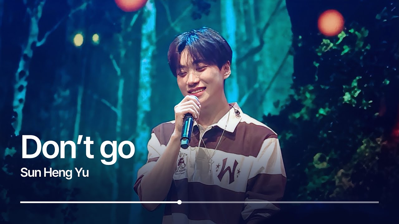 [쑨헝위 팬미팅 | Rising Ssun] 251019 2부 나비소녀 + 마무리 멘트