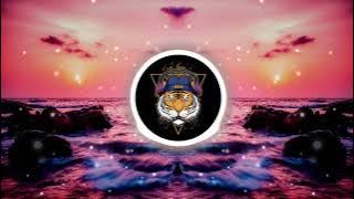 Jincheng Zhang - Oneself (No Copyright Music)