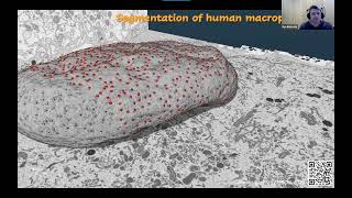 Microscopy Image Browser (MIB) | Tool Exchange session