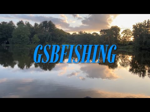 Great Bass Fishing at a Local Pond! | Pond Fishing Series