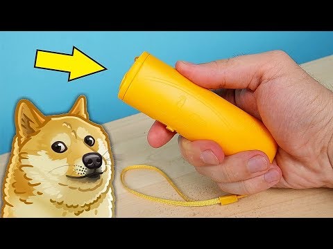 Отпугиватель Собак с Алиэкспресс! Боятся ли его собаки Проверка! alex boyko
