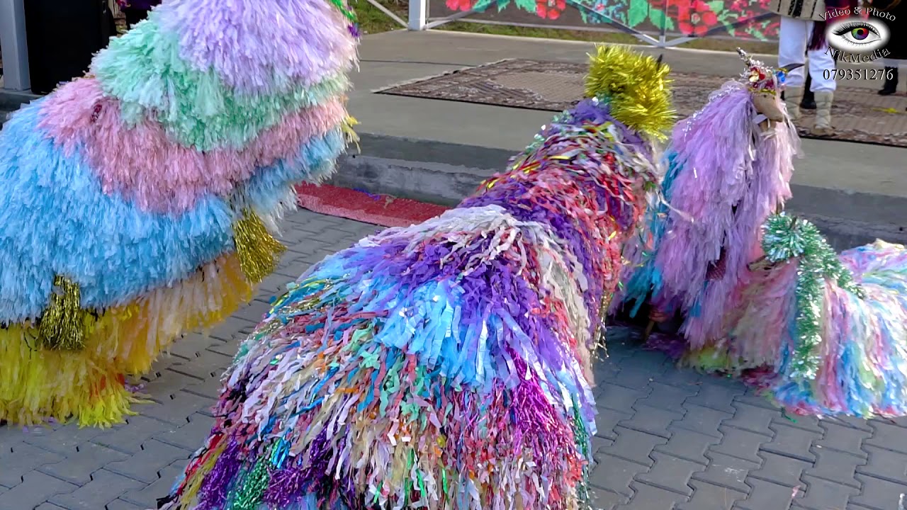 Festivalul ”Capra, Turca, Breaza” 2018, ” La stina”, s. Cirpesti, Cantemir