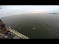 October 13, 2014 Kent Narrows, East Neck Island Striper fishing