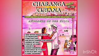 Video thumbnail of "Son de La Loma - Charanga Cubana"