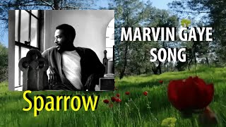 Vignette de la vidéo "Marvin Gaye Sparrow"