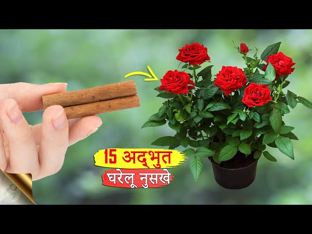 15 अद्भुत घरेलू गार्डन नुसखे | Household Gardening Hacks & Tips in Hindi