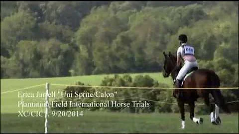 Erica Jarrell "Uni Sprite/Calon" Plantation Field ...