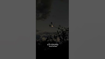 القارئ صالح الأنصاري || سورة الزمر