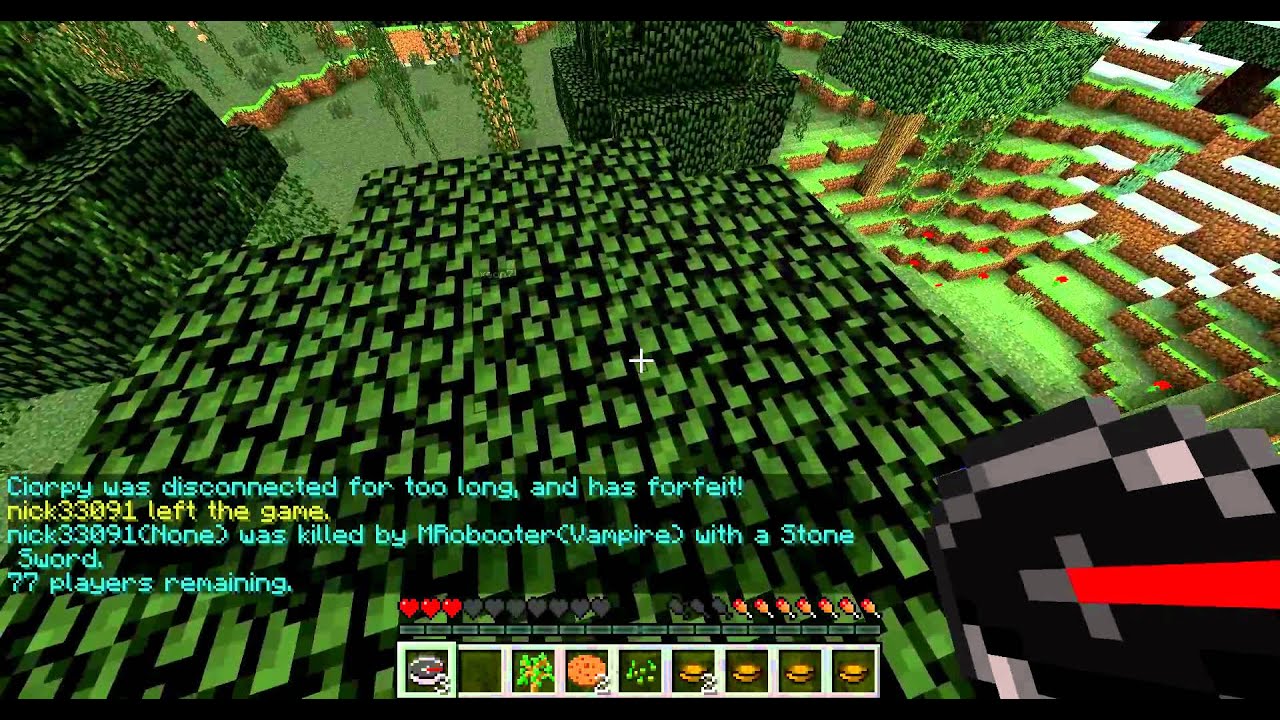Minecraft Hunger Games Bonus #1: Everything is going wrooooong!