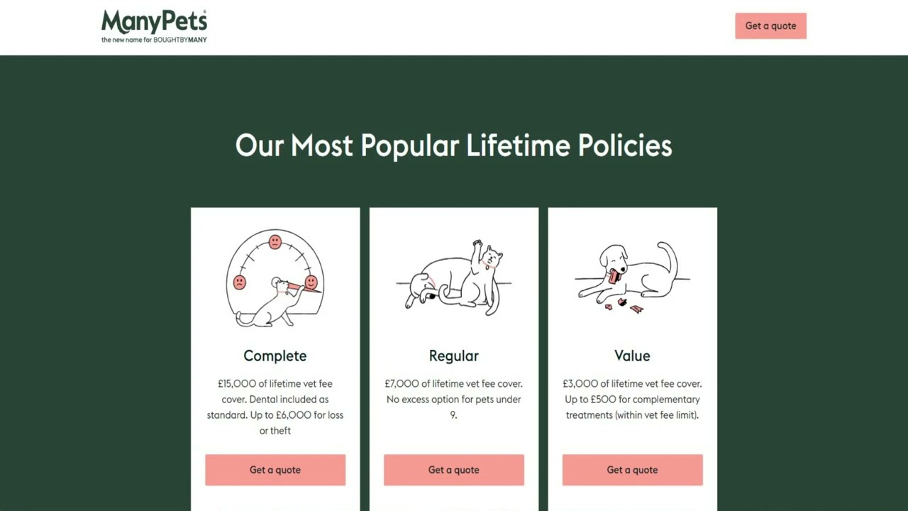 Best Pet Insurance for Multiple Pets Get Pet Insurance Now