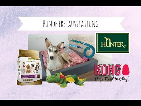 PROFTI Hundeleine aus Nylon 4fach verstellbar Lederelemente gro/ße//kleine Hunde robust//schwer 230cm lang