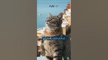 اسلام صبحي - فاستجبنا له ونجيناه من الغم وكذلك ننجي المؤمنين❤️🎧الآية 88 من سورة الأنبياء #اسلام_صبحي