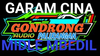 DJ TERBARU 2025 GARAM CINA YANG LAGI FIRAL COCOK BUAT CEK SOUND||GONDRONG AUDIO MINIATUR