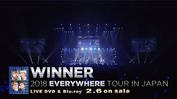 WINNER - EVERYDAY (WINNER 2018 EVERYWHERE TOUR IN JAPAN)