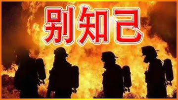 《别知己》外国版, 她的声音轻柔 -- 超清 [4K]