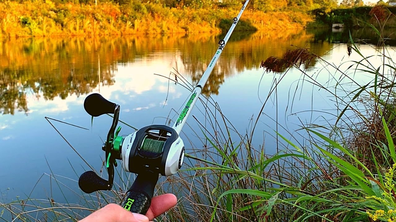 Pond Topwater Fishing for MONSTER BASS (First time Bait caster