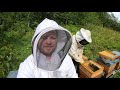 Tout connaitre sur les abeilles le miel et lapiculture  reportage complet