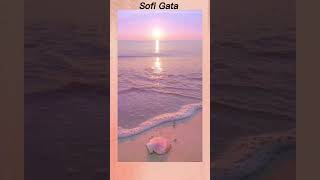 Fondos de pantalla Aesthetic (versión rosa💕) Parte 1