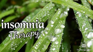 suara hujan buat insomnia terapi |Relax and sleeping with Rain in the garden