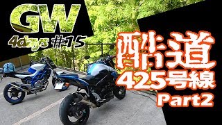 酷道425号線 三大酷道走破続編 Part2　G.W.Touring #15【GLADIUS400 GSR750】