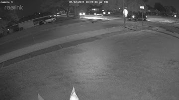 Reolink Captures: Hit and Run
