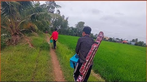 CÂU CÁ RÔ ĐỒNG, đi gần 20 cây số câu cá nhận cái kết đắng |fishing HQBL #142