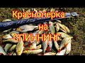 Neoline 0.1-2/Красноперка на спиннинг/Супер клёв/Мормышинг/