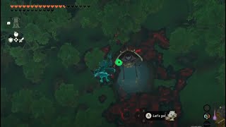 Zelda - TOTK - Minshi Woods Chasm