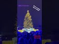 Vilniaus Christmas Tree 2023 #shorts #vilnius #katedra #2023