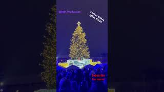 Vilniaus Christmas Tree 2023 #shorts #vilnius #katedra #2023