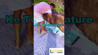 Chuna  Luminx Cool Roof Paint  shorts chuna paint