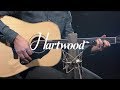 Hartwood Villanelle Acoustic Guitars | Gear4music overview