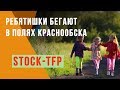 Дети в Полях