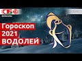 Гороскоп для знака Зодиака Водолей на 2021 год белого металлического быка