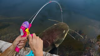 TOY FISHING ROD CATCHES MONSTER FISH!