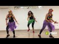 ZUMBA - LA VIDA ES UN CARNAVAL,  MALUMA