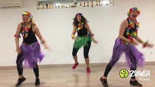 ZUMBA - LA VIDA ES UN CARNAVAL,  MALUMA