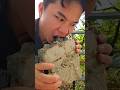Ä N Ngon Miá Ng Vá I MÃ N NÃ Y Bushcraft Duet Camping Satisfying Food Shors Ä N Ngon Miá Ng Vá I MÃ N NÃ Y Bushcraft Duet Camping Satisfying Food Shors
