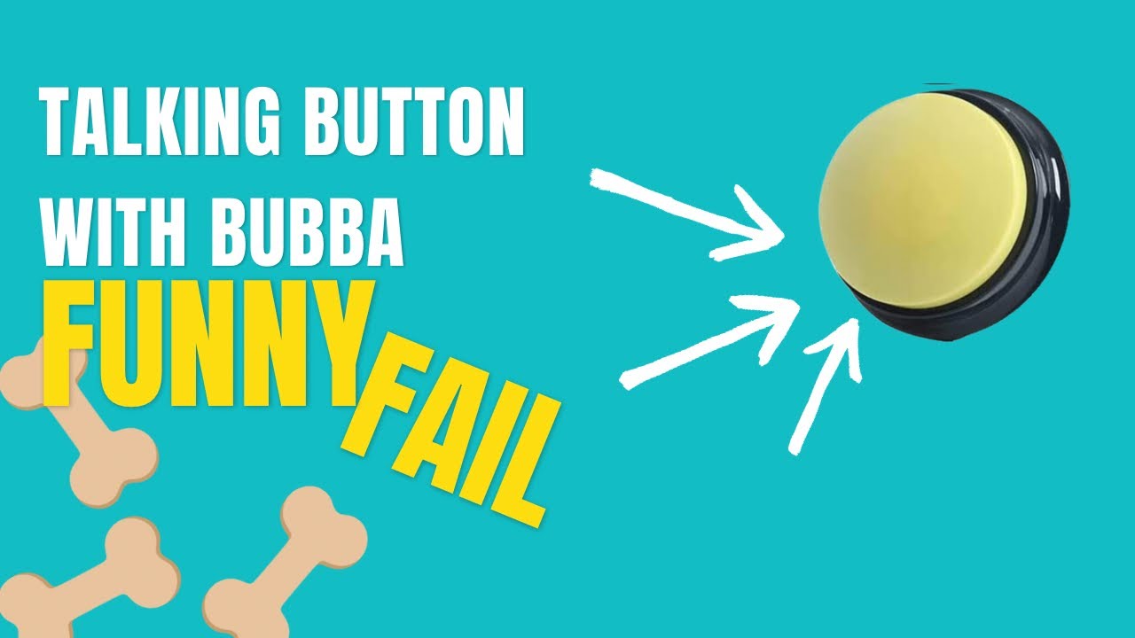 Talking dog button funny fails frenchie throws fit over talking button and treats! YouTube