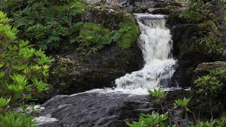 Short Nature Sounds Meditation W/O Birdsong-Soothing Calming Sound of Water Relaxation-Peaceful
