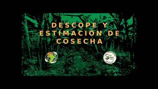 Descope y estimación de cosecha, Recomendaciones para productores de café orgánico.