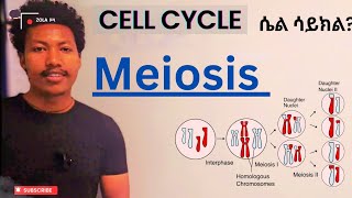 Meiosis: Cell Cycle: Types of Cell division (Mitosis Vs Meiosis) ሴል ሳይክል explained in amharic