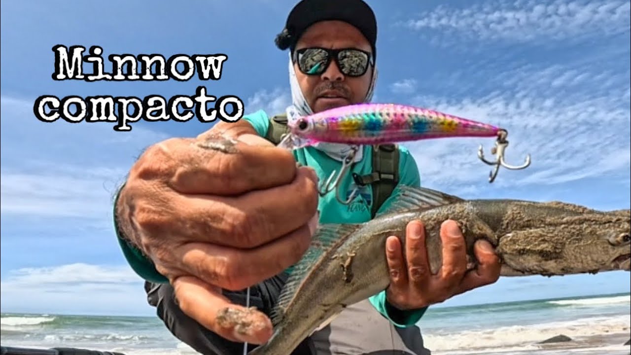 Pesca de orillla con este minnow compacto y muy volador !
