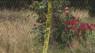 Del Paso Heights Murder Suspect Sought After Deadly Shooting