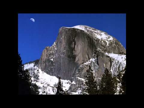 الشيخ إبراهيم زكريا