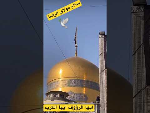 ايها الضامن نشيد للامام الرضا عليه السلام الامام الرؤوف غريب طوس على بن موسى الرضا مشهد ايران الرضا