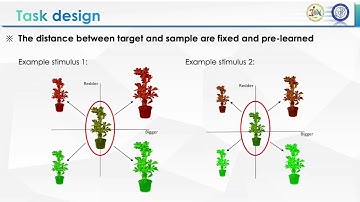 OHBM 2023 | 3083 | Talk | Mengya Zhang | Neural Geometry of Abstract Working Memory…